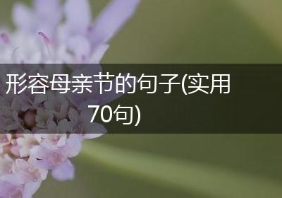 形容母亲节的句子(实用70句)