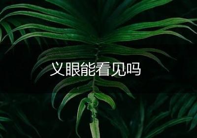 义眼能看见吗