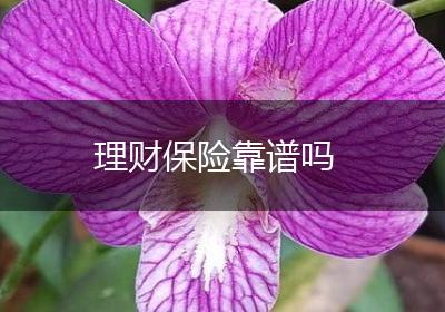 理财保险靠谱吗