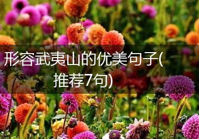 形容武夷山的优美句子(推荐7句)