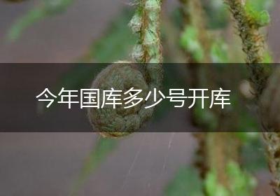 今年国库多少号开库