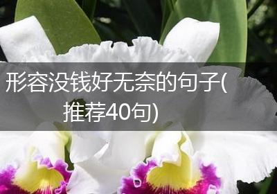 形容没钱好无奈的句子(推荐40句)