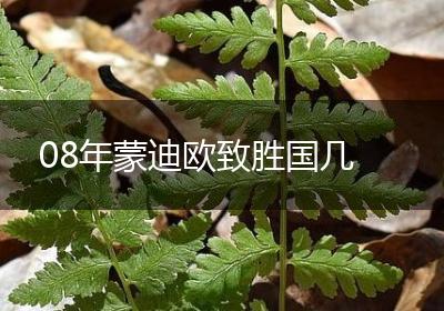 08年蒙迪欧致胜国几