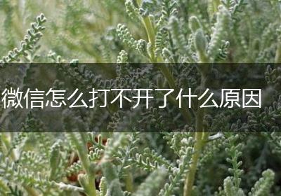 微信怎么打不开了什么原因