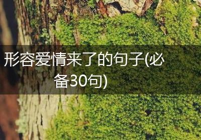 形容爱情来了的句子(必备30句)