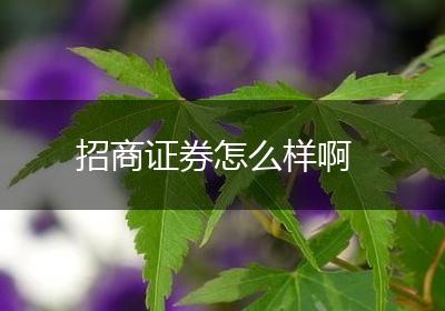 招商证券怎么样啊