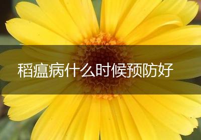 稻瘟病什么时候预防好
