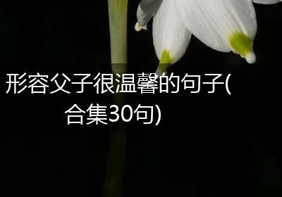 形容父子很温馨的句子(合集30句)
