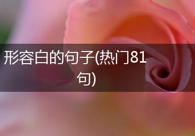 形容白的句子(热门81句)