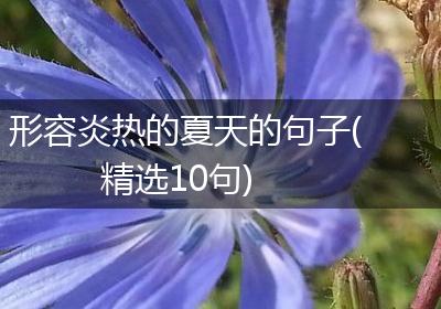 形容炎热的夏天的句子(精选10句)