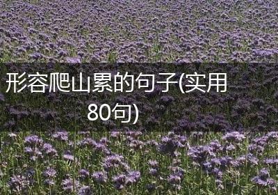 形容爬山累的句子(实用80句)