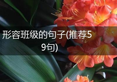 形容班级的句子(推荐59句)