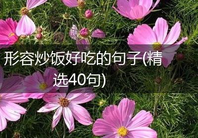 形容炒饭好吃的句子(精选40句)