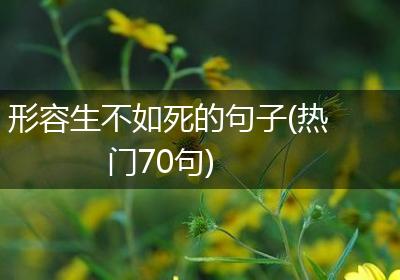 形容生不如死的句子(热门70句)