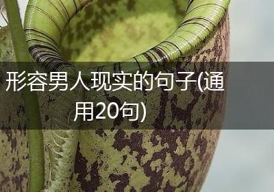 形容男人现实的句子(通用20句)
