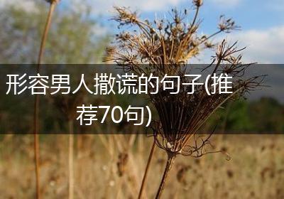 形容男人撒谎的句子(推荐70句)