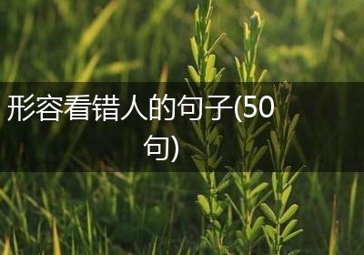 形容看错人的句子(50句)