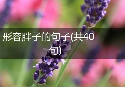 形容胖子的句子(共40句)