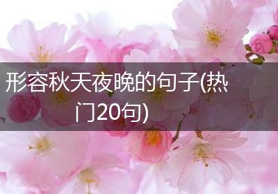 形容秋天夜晚的句子(热门20句)