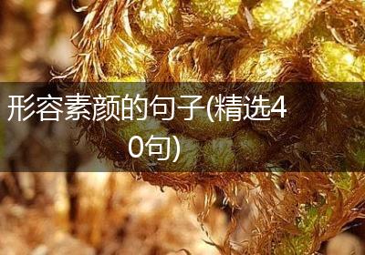 形容素颜的句子(精选40句)