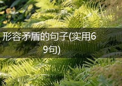形容矛盾的句子(实用69句)