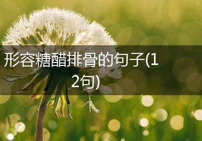 形容糖醋排骨的句子(12句)