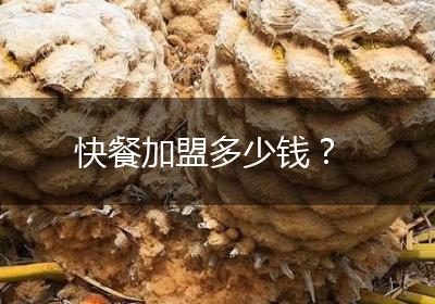 快餐加盟多少钱？