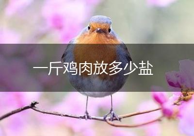 一斤鸡肉放多少盐