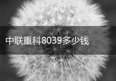 中联重科8039多少钱