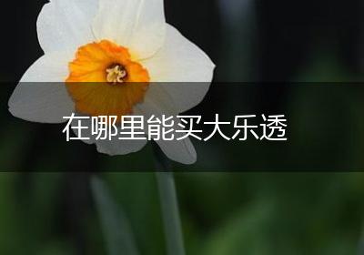 在哪里能买大乐透