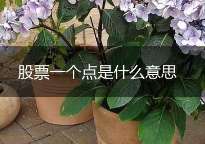股票一个点是什么意思