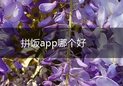 拼饭app哪个好