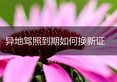 异地驾照到期如何换新证