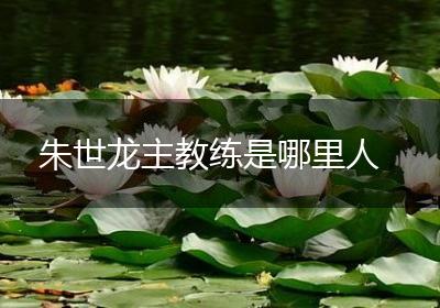朱世龙主教练是哪里人