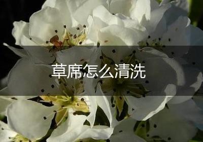 草席怎么清洗