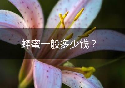 蜂蜜一般多少钱？
