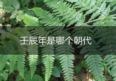 壬辰年是哪个朝代