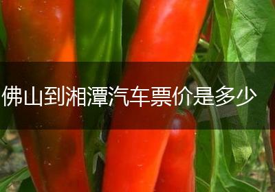 佛山到湘潭汽车票价是多少
