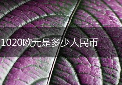 1020欧元是多少人民币