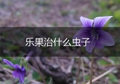 乐果治什么虫子