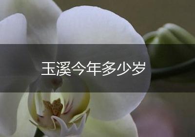 玉溪今年多少岁