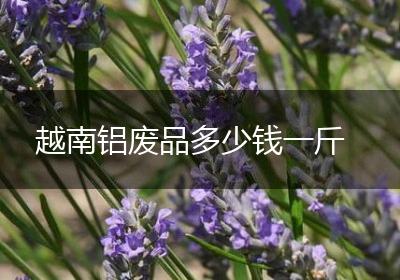 越南铝废品多少钱一斤