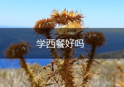 学西餐好吗