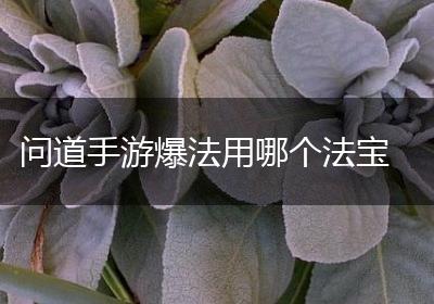 问道手游爆法用哪个法宝