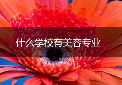 什么学校有美容专业