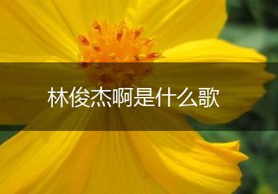 林俊杰啊是什么歌
