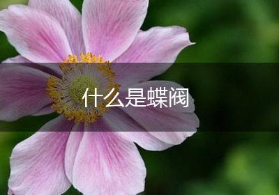什么是蝶阀
