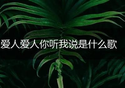 爱人爱人你听我说是什么歌
