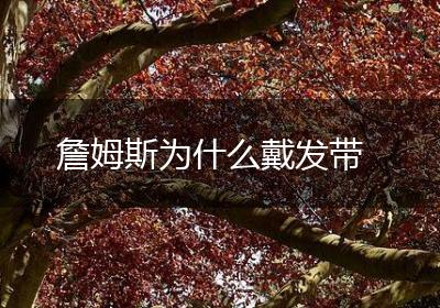 詹姆斯为什么戴发带