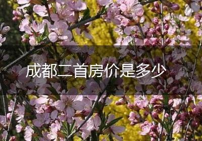 成都二首房价是多少